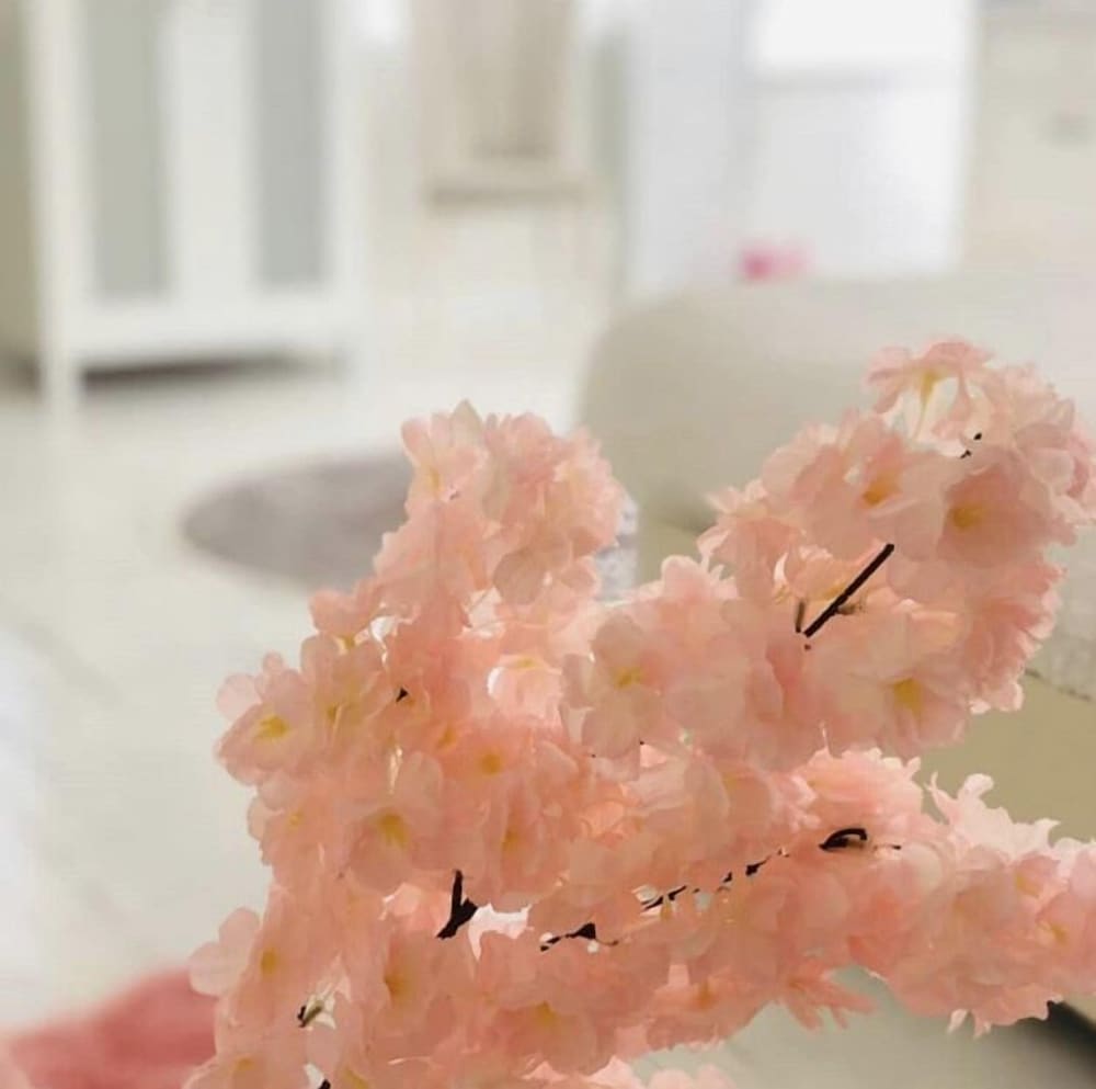 Beyaz Ev Butik Otel Maşukiye Rezervasyon