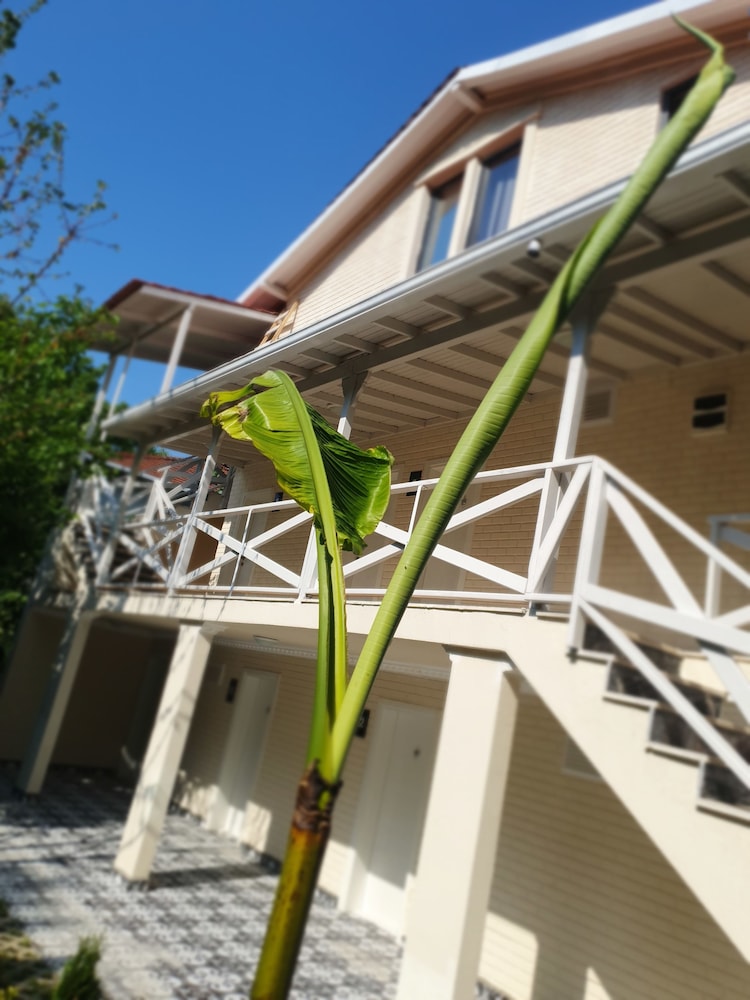 Kadifeli Konak Boutique Hotel Rezervasyon