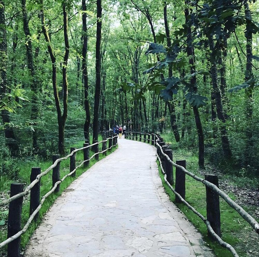 Arteria Family Residence & Suit Hotel Rezervasyon