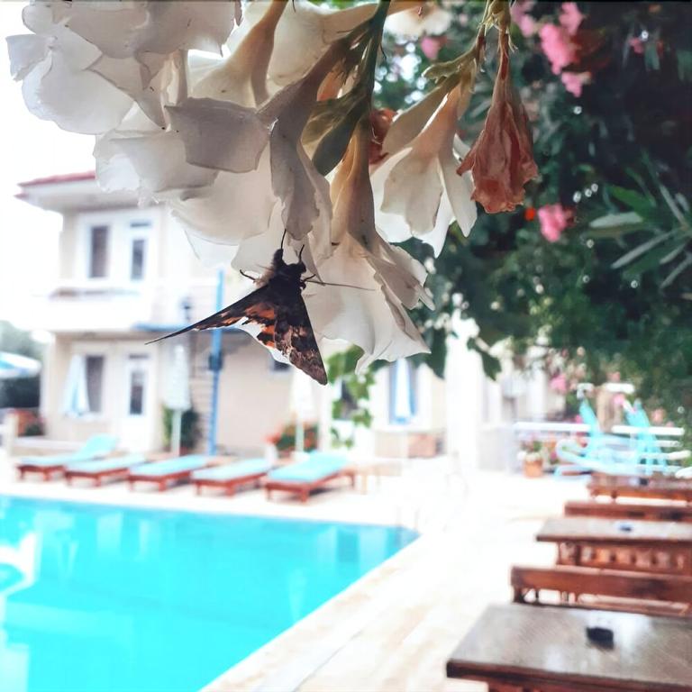 Duman Hotel Rezervasyon