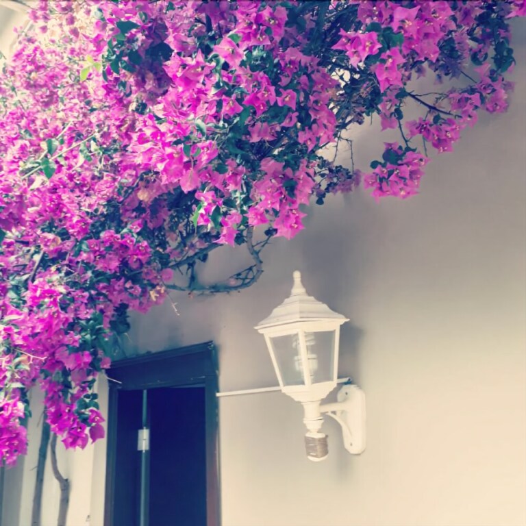 Duman Hotel Rezervasyon