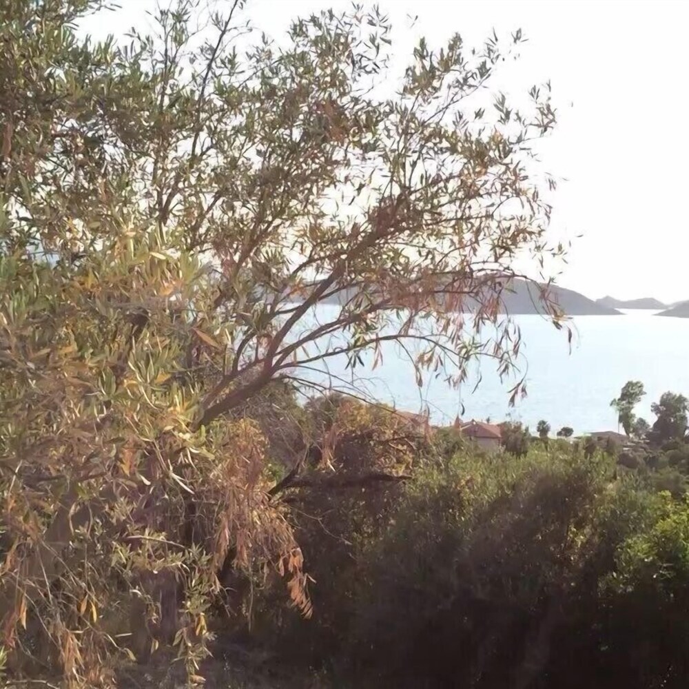 Veranda Saranda Apart Rezervasyon