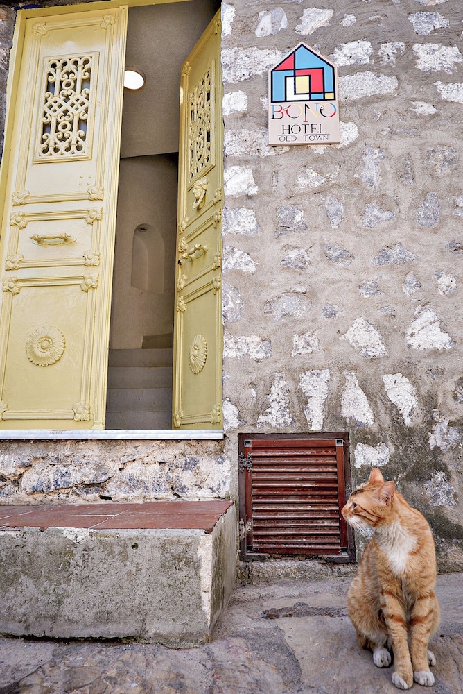 Bono Houses Condo Rezervasyon