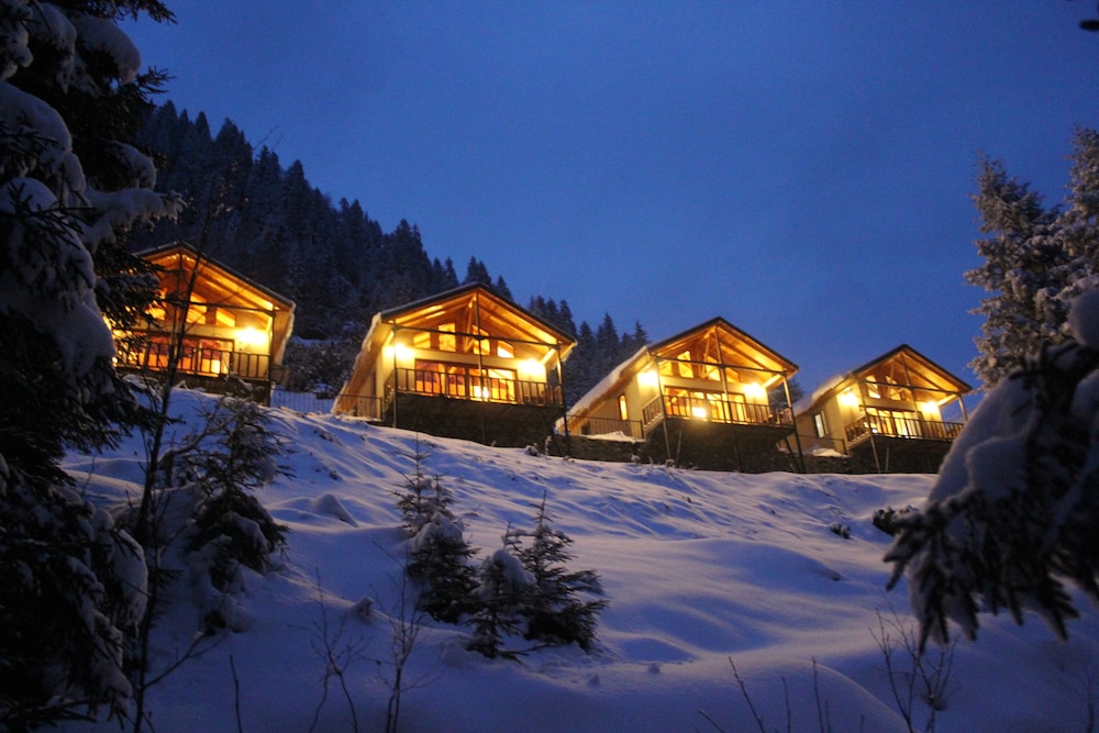 Ayder Cise Dag Evleri Rezervasyon