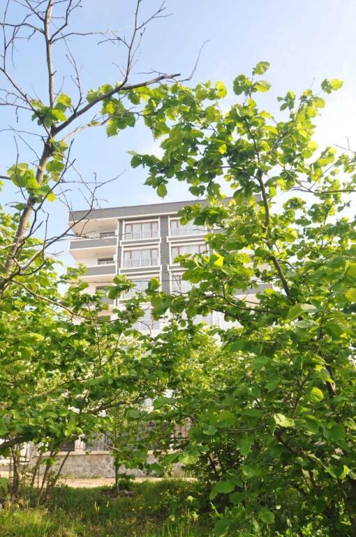 Rosalinda Apartments Rezervasyon