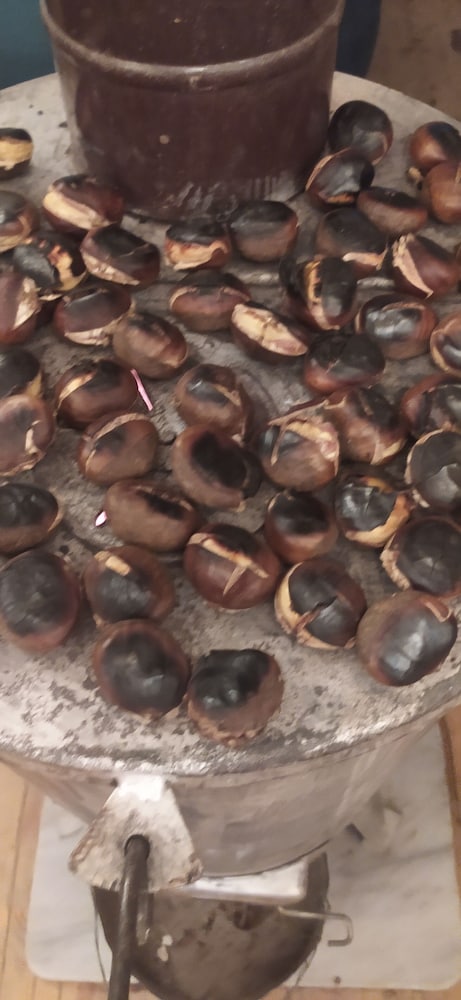 Agva Kilimli Bungalow Rezervasyon