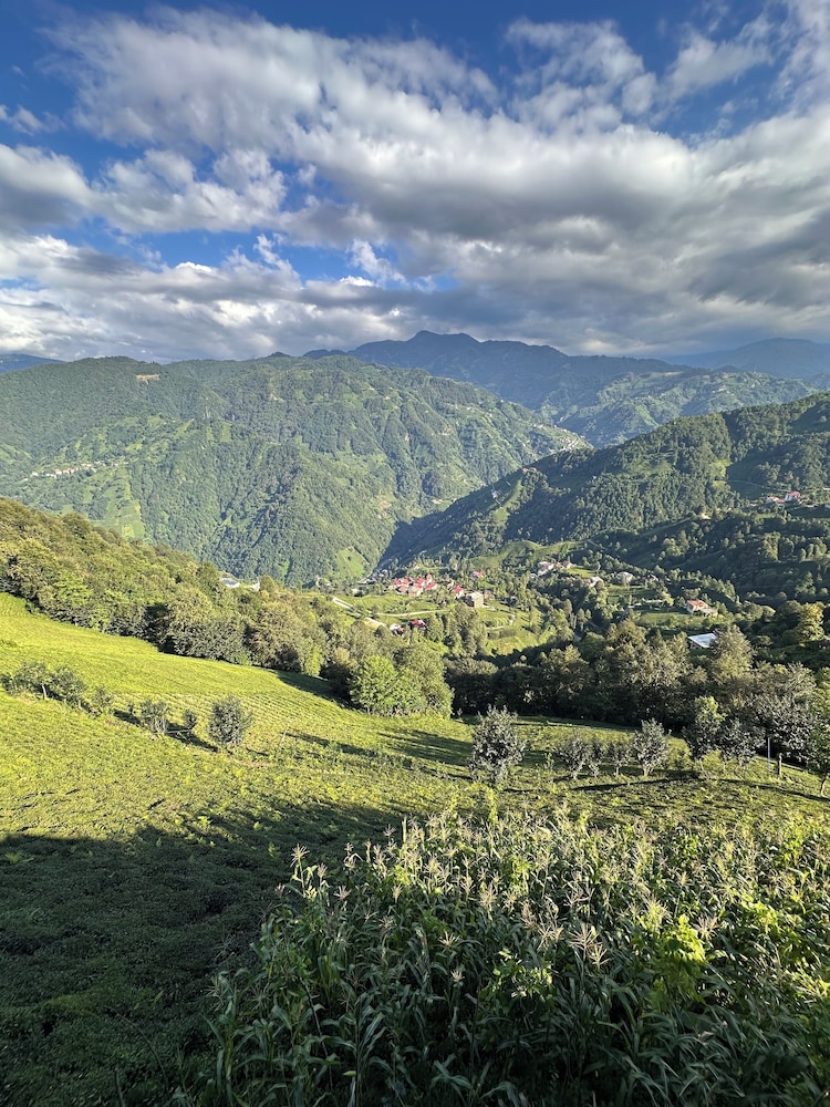 Kuzey Bungalov Rezervasyon