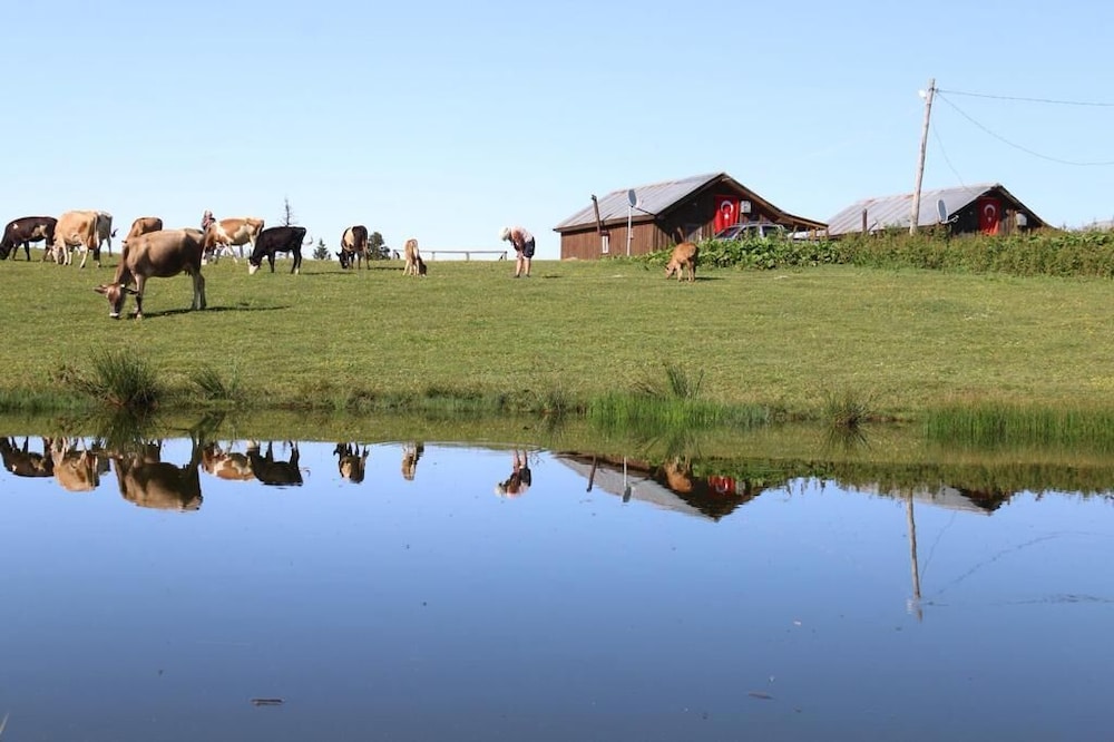 Badara Kafe & Pansiyon Rezervasyon