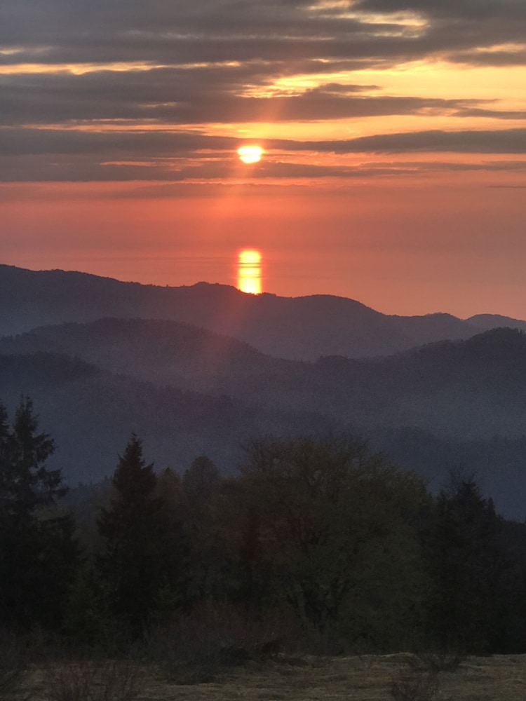 Badara Kafe & Pansiyon Rezervasyon