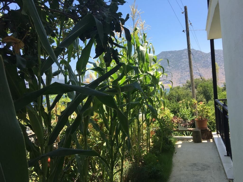 Duru Evleri Rezervasyon