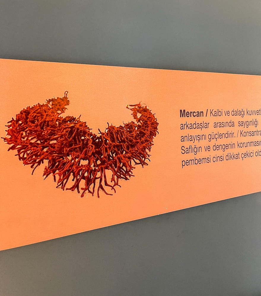 Selimiye 11 Oda Rezervasyon