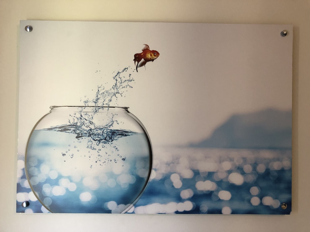 Selimiye 11 Oda Rezervasyon