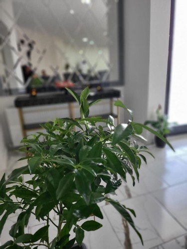 Malatya Norvia Hotel Rezervasyon