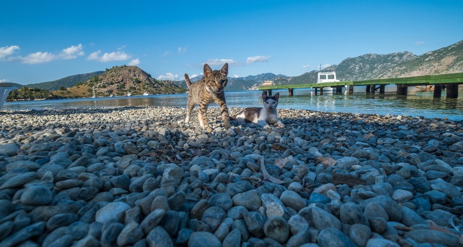 Balalayka Butik Otel Rezervasyon