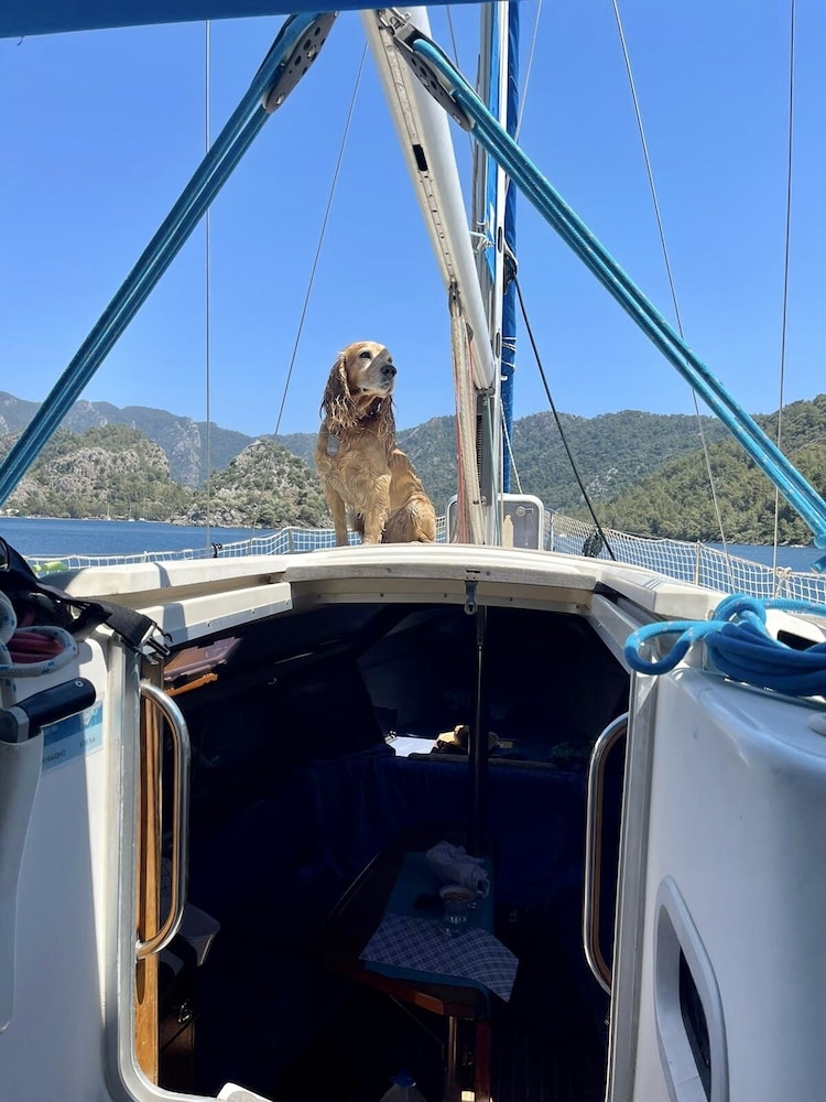 Marimare Beach & Bungalow Hotel Rezervasyon