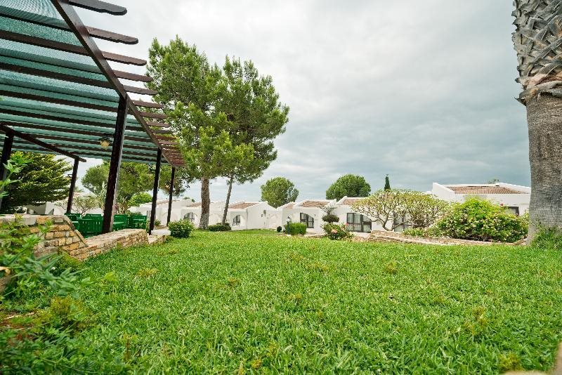 The Olive Tree Hotel Rezervasyon