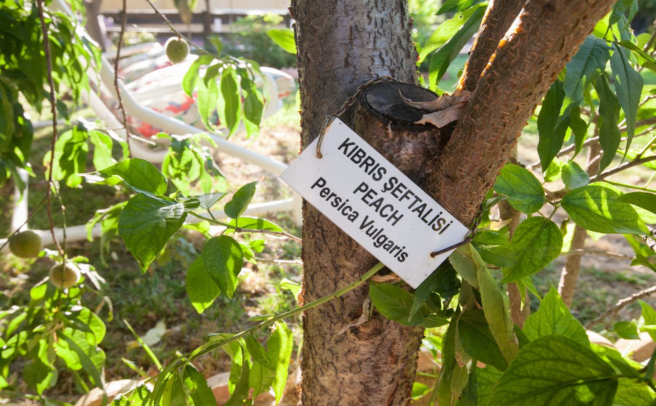 Lapida Hotel Rezervasyon