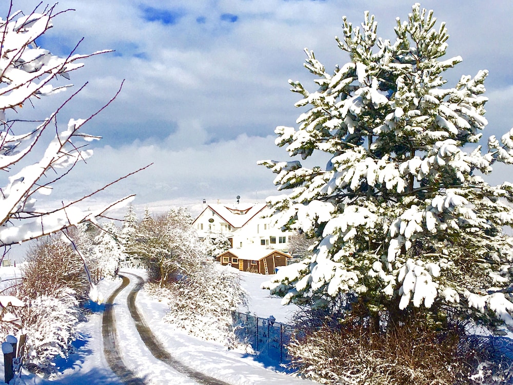 Kartaltepe Boutique Hotel & Restaurant Rezervasyon