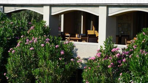 Gökçeada Sörf Otel Rezervasyon