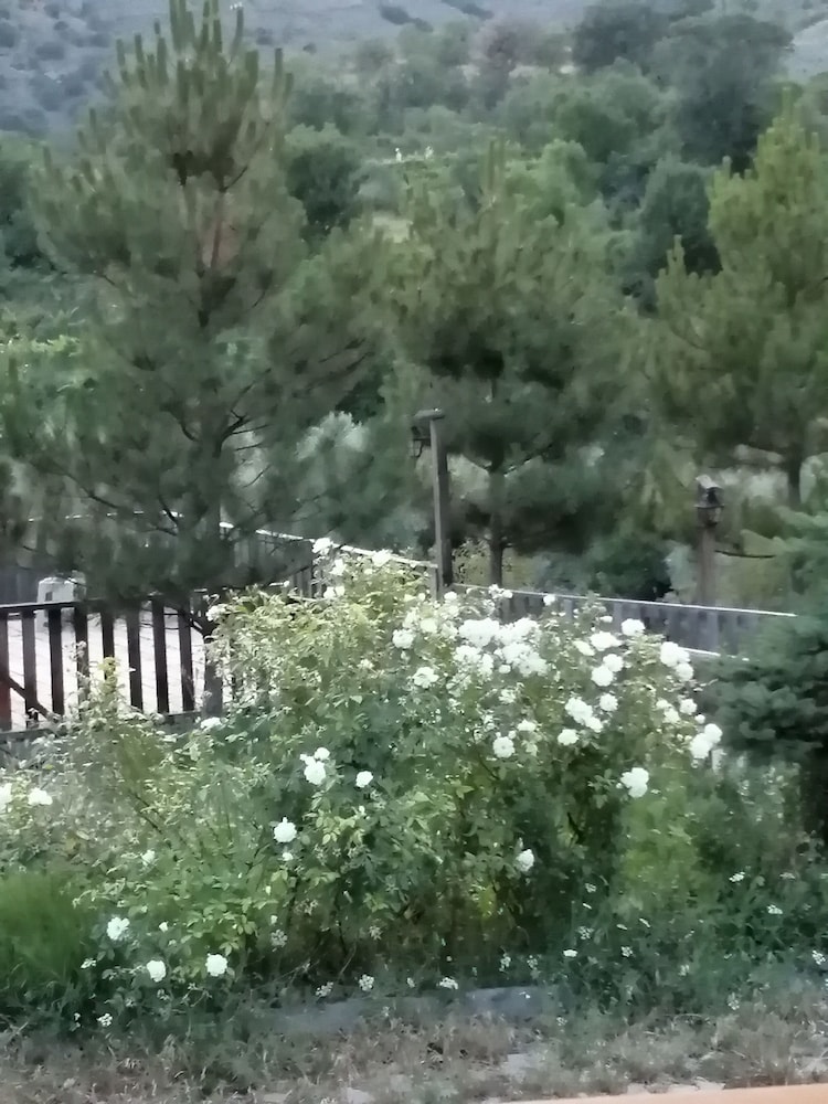 Oba Kütük Evleri Rezervasyon