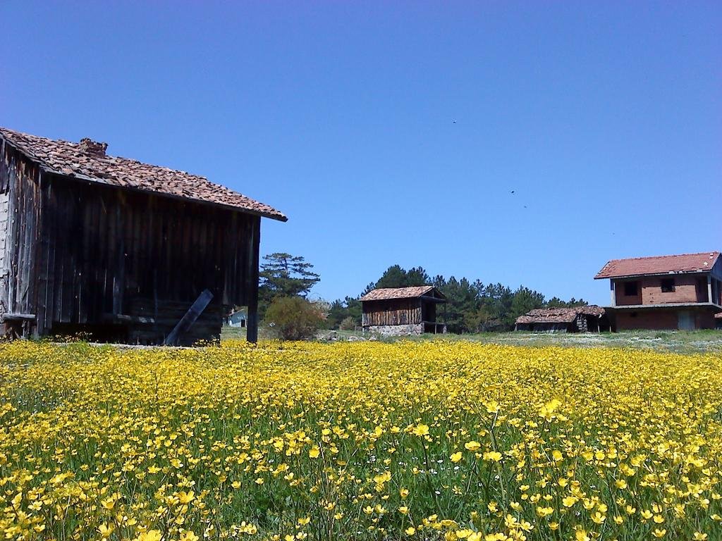 Villa Neva Hotel Rezervasyon