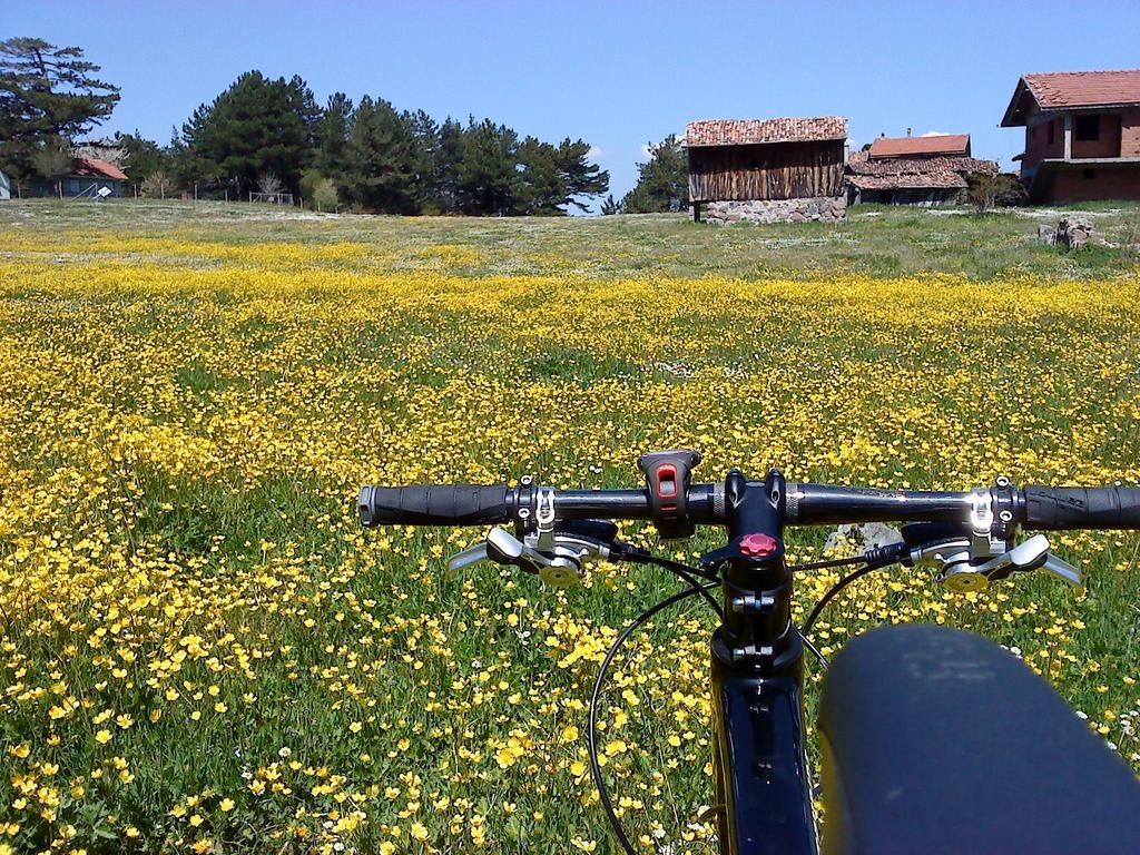 Villa Neva Hotel Rezervasyon