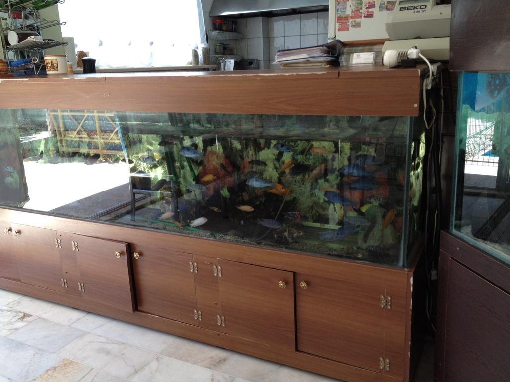 Flash Hotel Rezervasyon