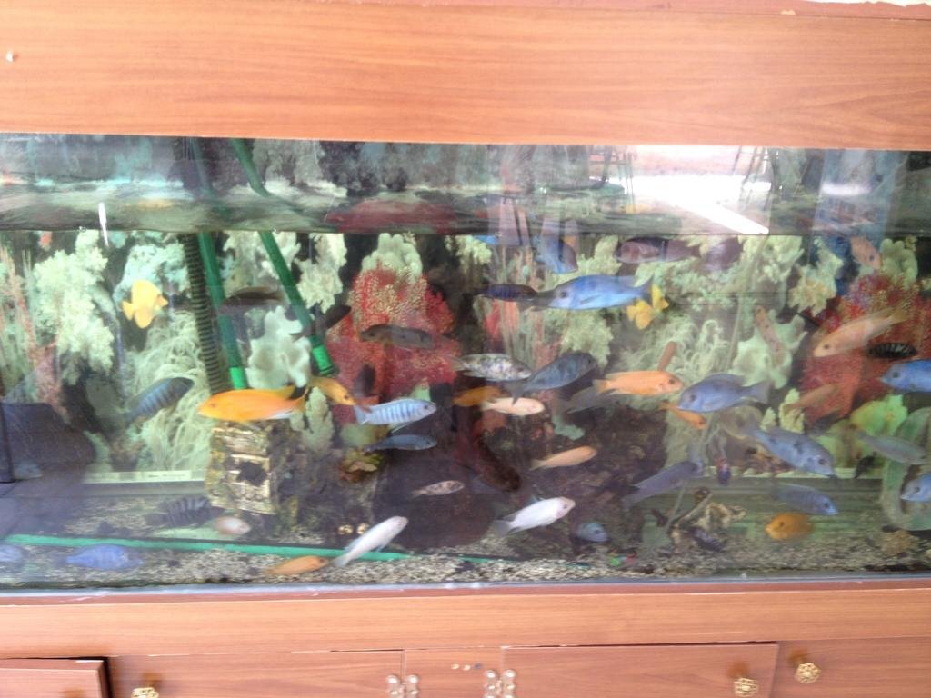 Flash Hotel Rezervasyon