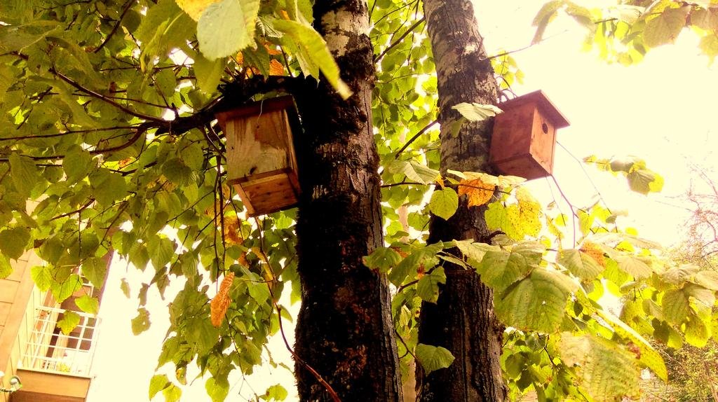 Hilaz Otel Rezervasyon