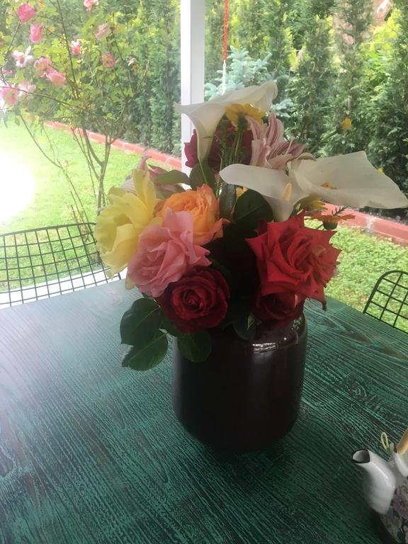 Villa Sarayli Rezervasyon