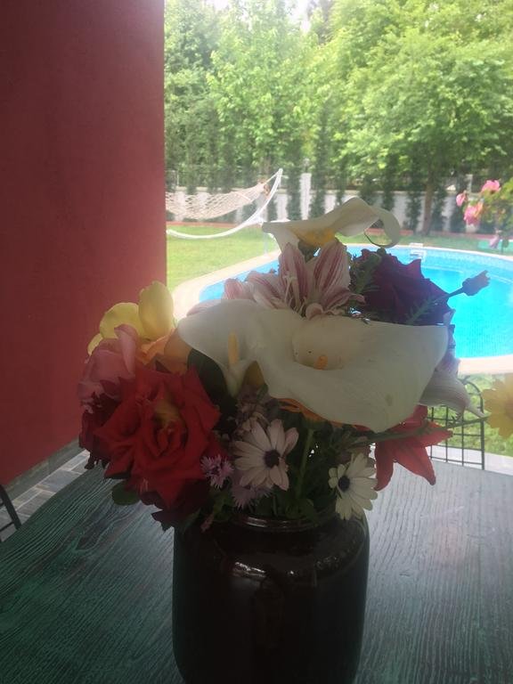 Villa Sarayli Rezervasyon