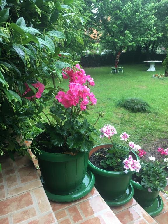 Villa Sarayli Rezervasyon