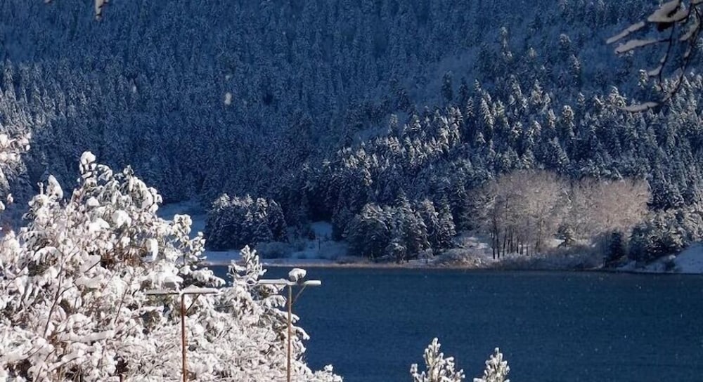 Abant Gol Evleri Rezervasyon