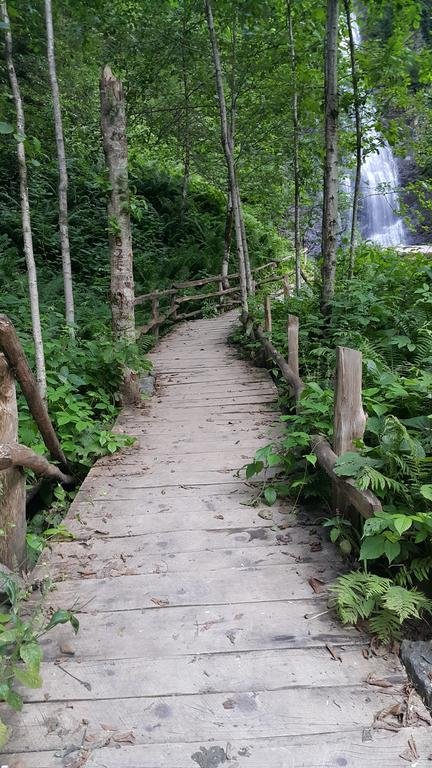 Ayderoom Otel Rezervasyon