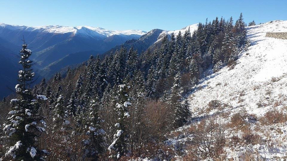 Aymeydani Hotel Café Restaurant Rezervasyon