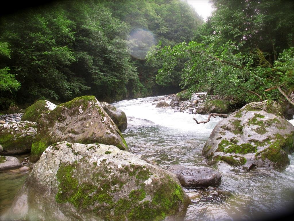 Camlihemsin Tasmektep Hotel Rezervasyon
