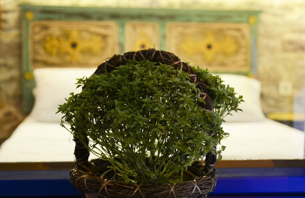 Cunda Mavi Hotel Rezervasyon