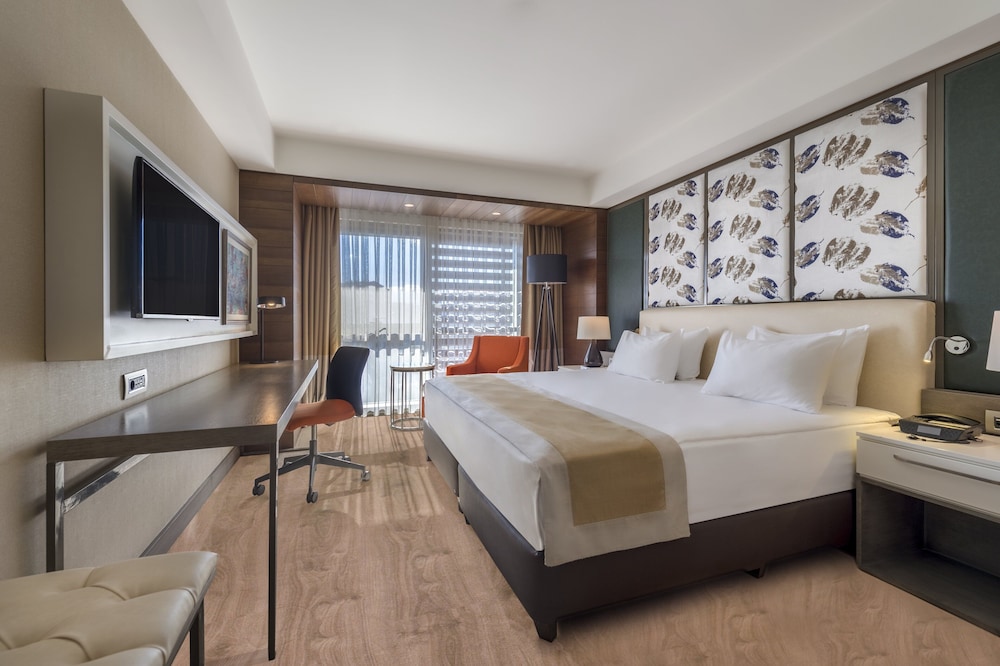 Holiday Inn Kayseri - Düvenönü Rezervasyon