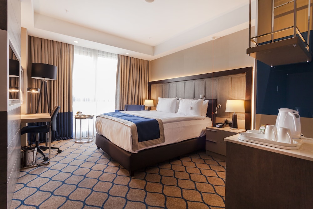 Holiday Inn Kayseri - Düvenönü Rezervasyon