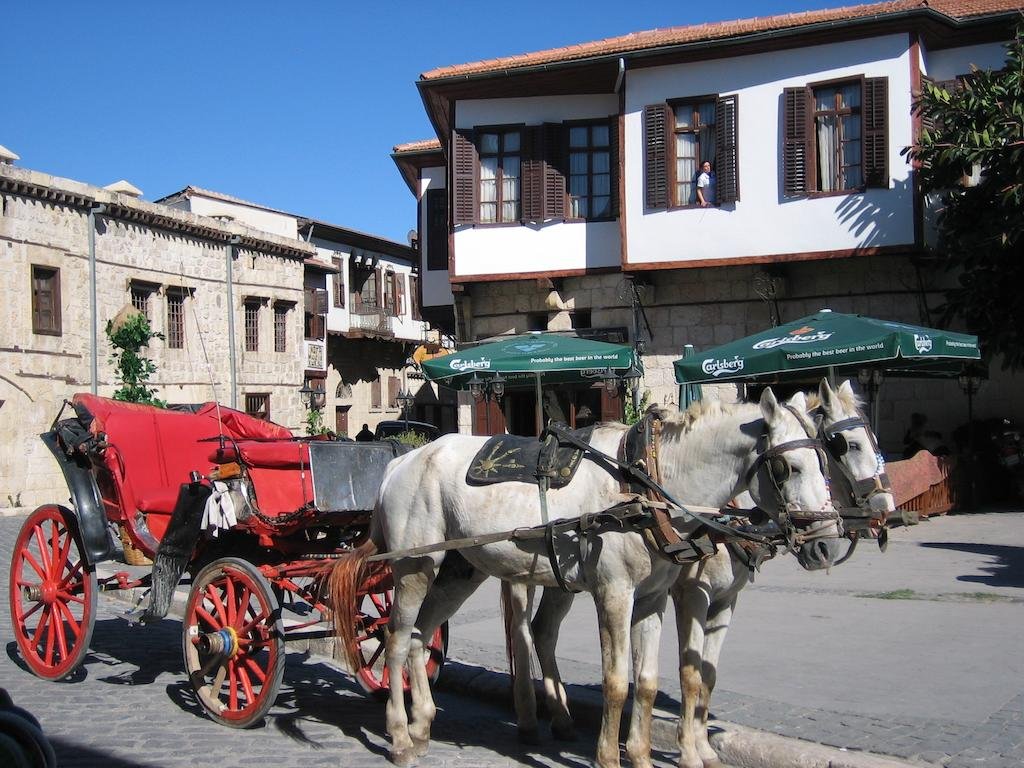 Konak Efsus Rezervasyon