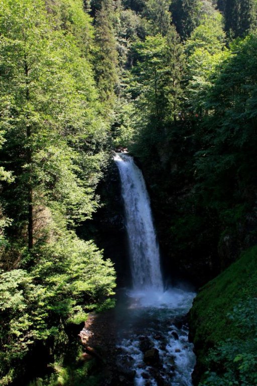 Kuspuni Dag Evi Rezervasyon