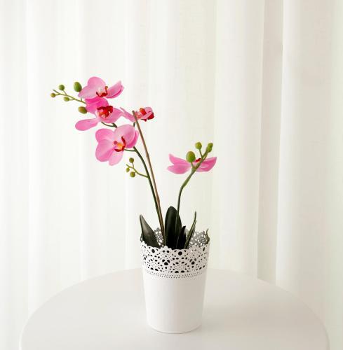 Kavalali Suites Rezervasyon