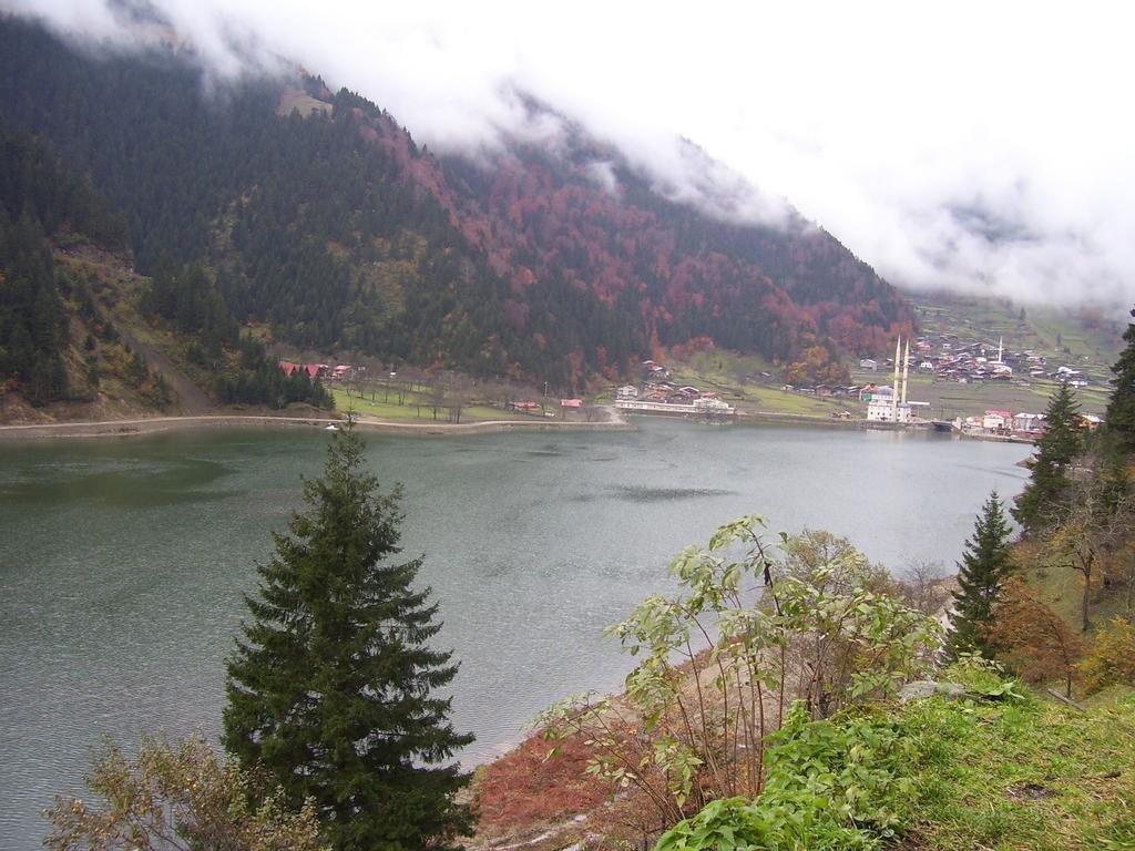 Sen Villa Motel Rezervasyon