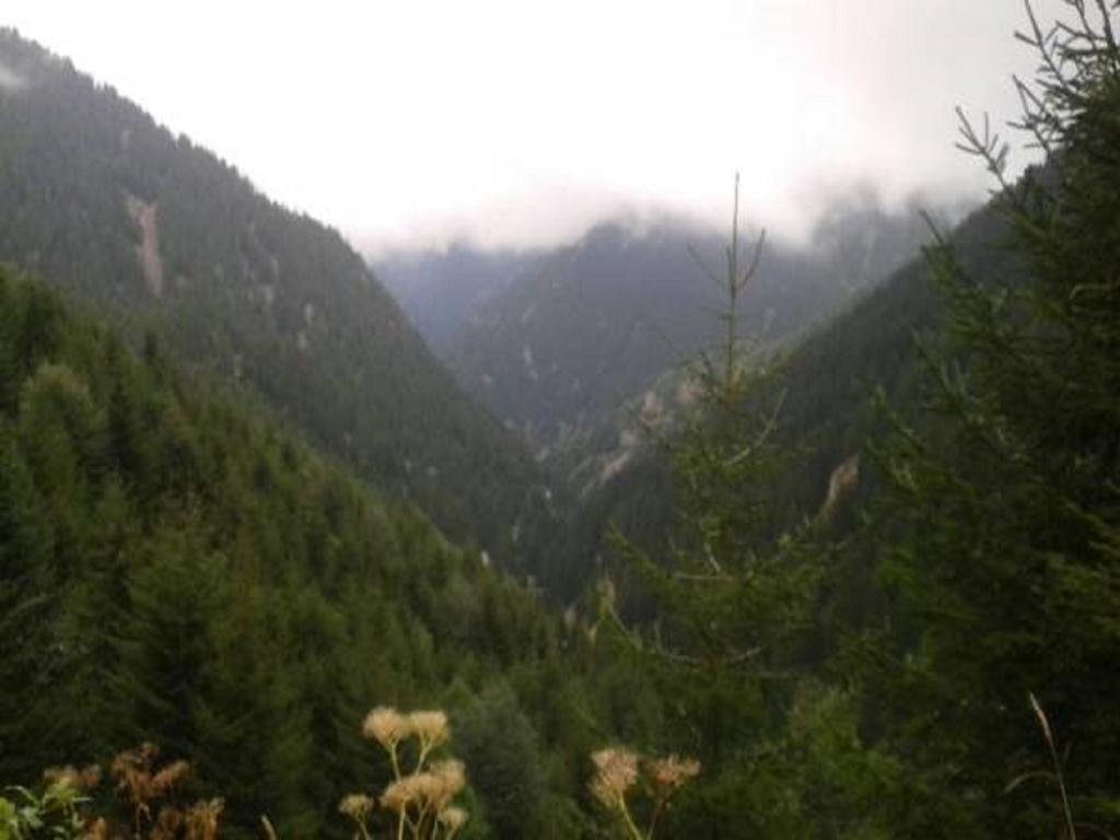 Uzungol Taskiran Ela Hotel Rezervasyon