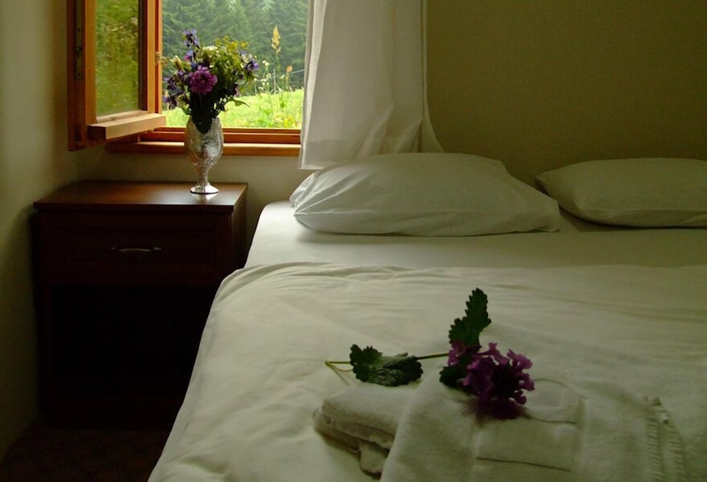 Zitas Zigana Holiday Resort Rezervasyon