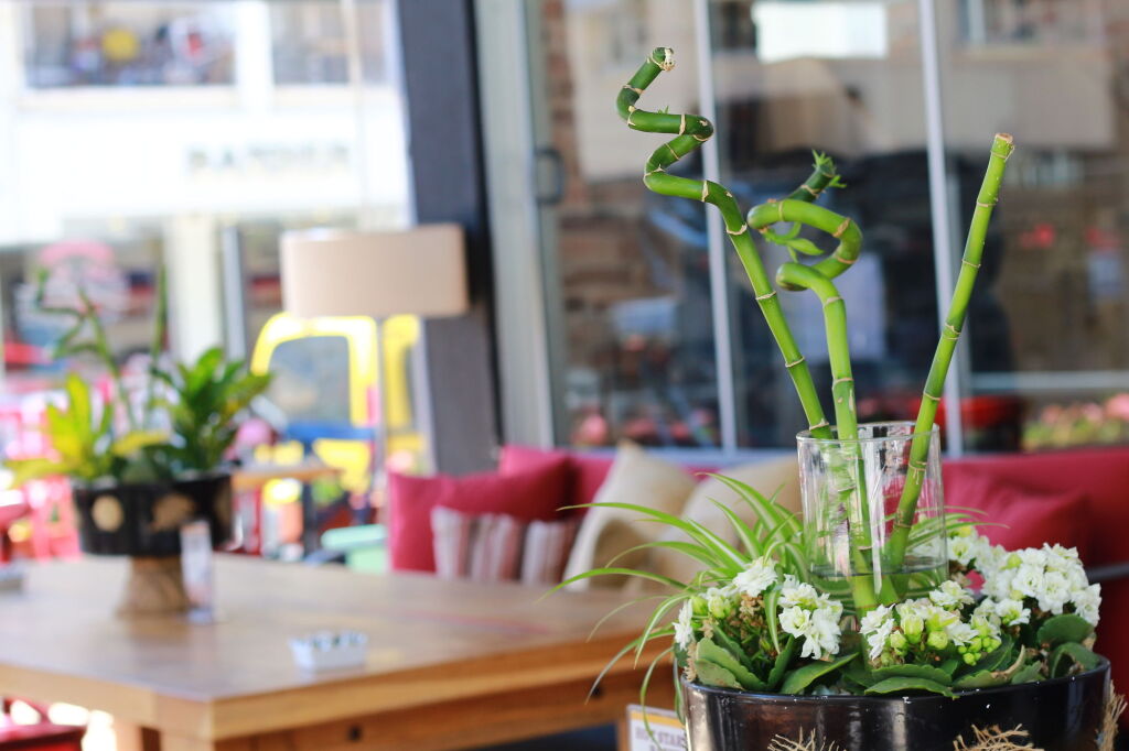 The Marmaris Boutique Hotel Rezervasyon