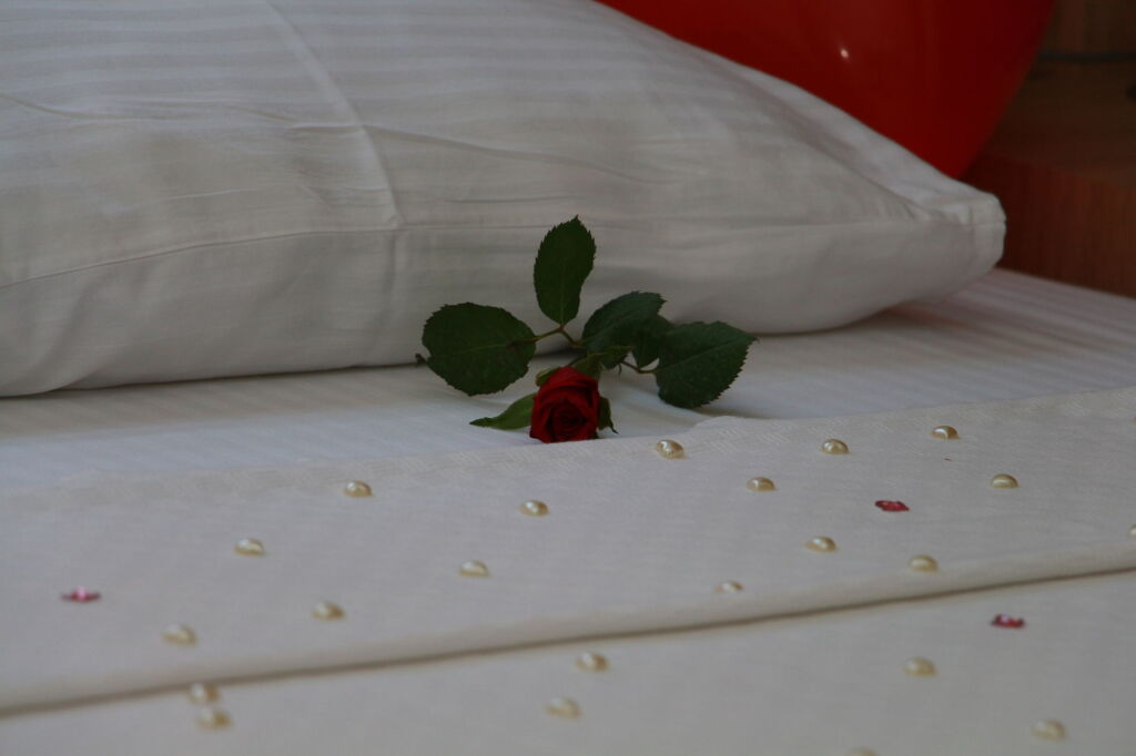 The Marmaris Boutique Hotel Rezervasyon