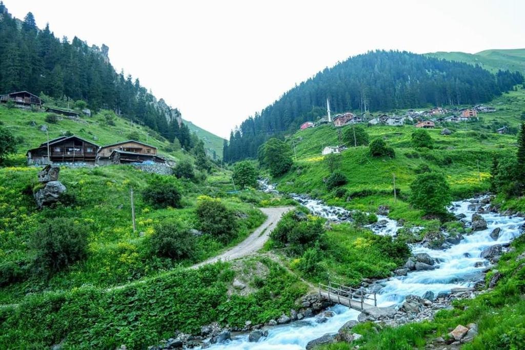 Zirve Pension Rezervasyon