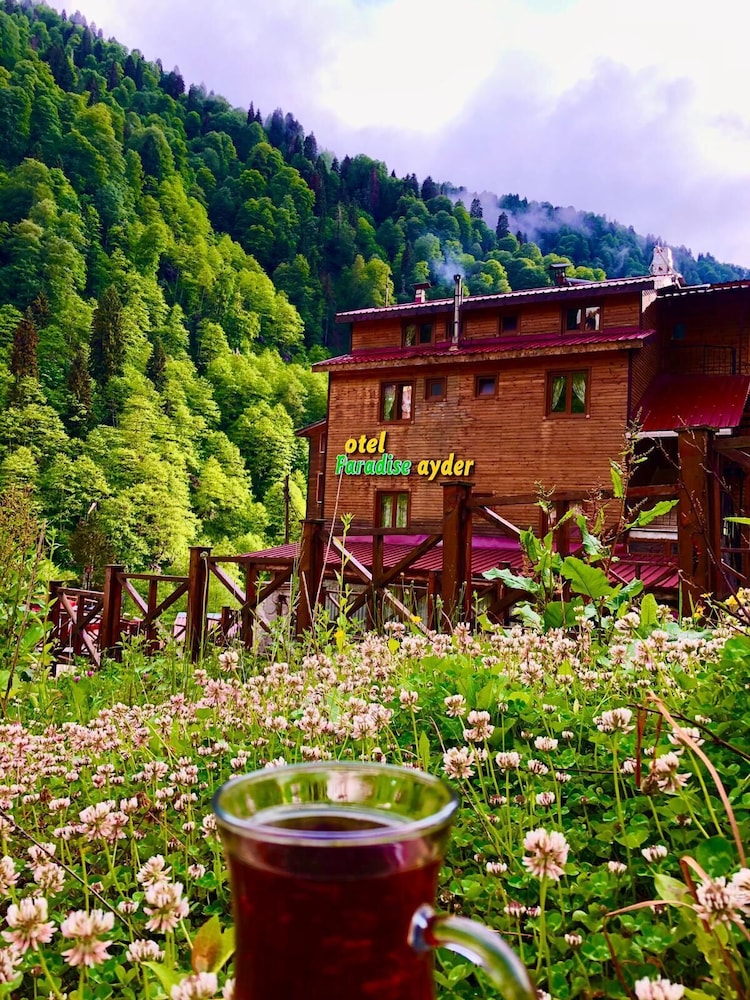 Ayder Paradise Butik Otel Rezervasyon