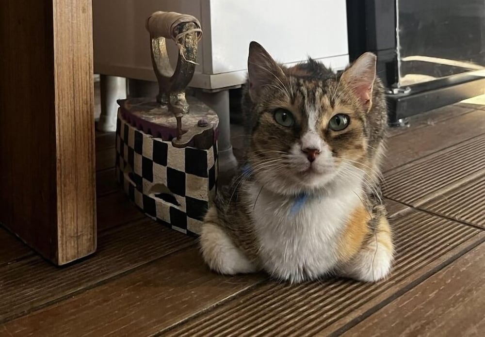 Ede Apart Otel Rezervasyon